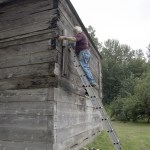 Harrison Goodall, a conservation architect, examines the planks of the Fall City hop shed in July. His work was partially funded by a grant from King County 4Culture.                                Carol Ladwig/Staff Photo