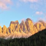 Maddox Malcolm Photo