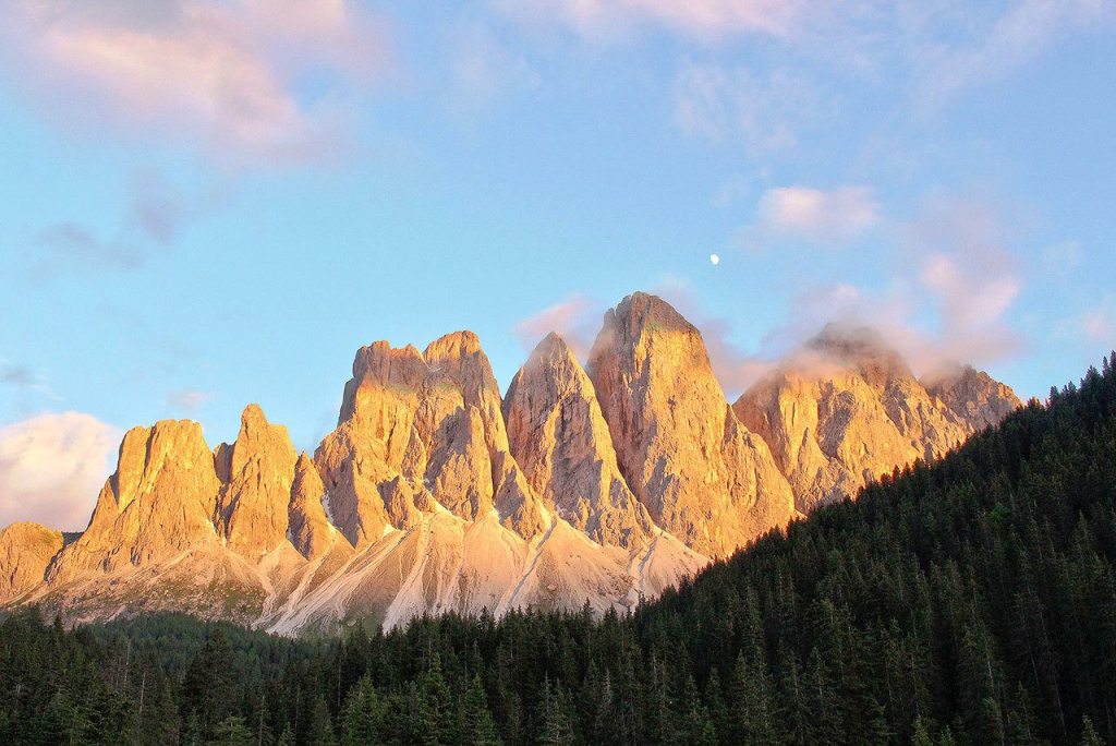 Maddox Malcolm Photo