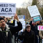 Affordable Care Act, immigration headline concerns of 1,000 anti-Reichert protesters
