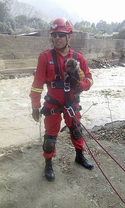 A firefighter pulls a small dog from the River as part of the city&rsquo;s restoration efforts. (Courtesy Photo)