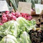 Carnation Farmers Market celebrates opening day May 2