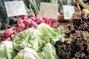 Carnation Farmers Market celebrates opening day May 2