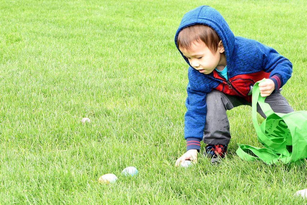 Sun shines on Snoqualmie egg hunt Saturday
