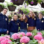 Carol Ladwig/Staff Photo                                Cedarcrest High School FFA members are preparing for their plant sale, starting this week with a preview party Thursday, followed by two weekends of sales, Fridays and Saturdays. Pictured from left are freshmen Calvin Leffard and Valeria Martinez, and seniors Nicole Hagens, club vice-president, Meg Knox, treasurer, and Zakya Misallati, chapter reporter.