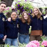 Cedarcrest plant sale starts with Thursday preview party