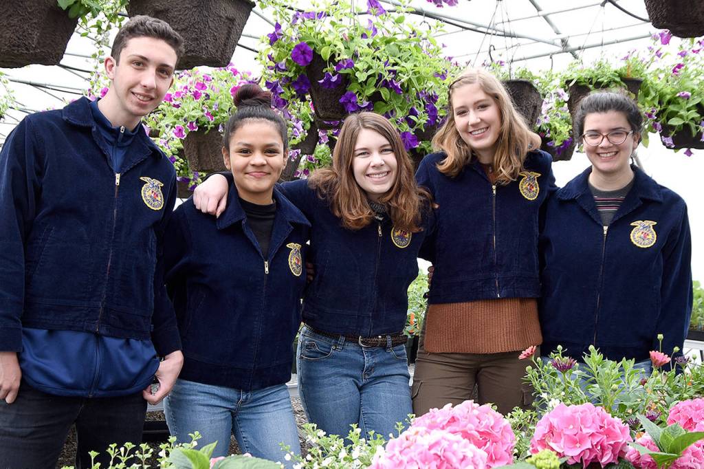 Cedarcrest plant sale starts with Thursday preview party