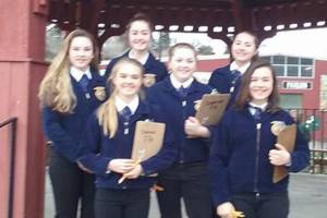 Cedarcrest sends first-ever FFA team to state horse judging event