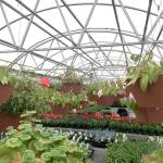 Mount Si High School plant sale starts Thursday, May 11