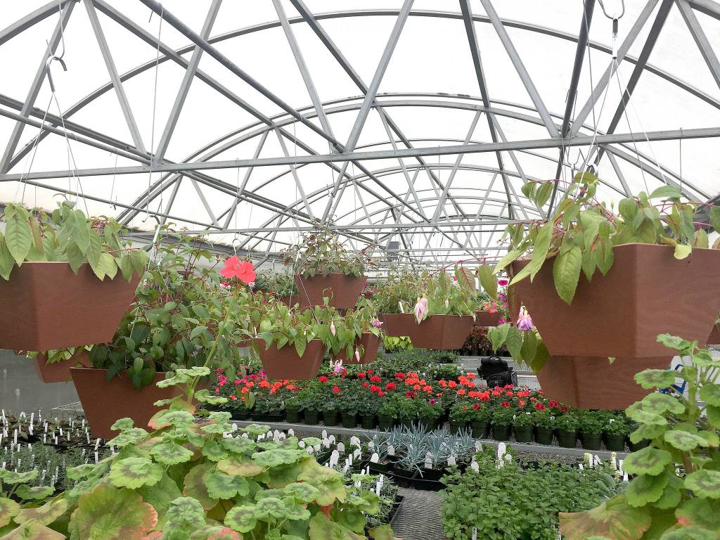 Mount Si High School plant sale starts Thursday, May 11