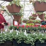 Mount Si horticulture students prepare for their annual plant sale, May 11 to 13.                                (Courtesy Photo)