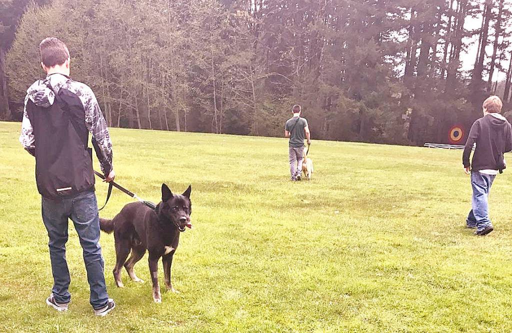 Courtesy Photo                                Echo Glen students in the Canine Connections program walk their dogs.