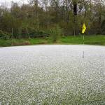 Hail covered the green at Mount Si Golf Course on the girls golf team&rsquo;s senior night event.                                Courtesy Photo
