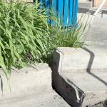 The collapsing ground caused sections of the curb and sidewalk to shift.                                Carol Ladwig/Staff Photo