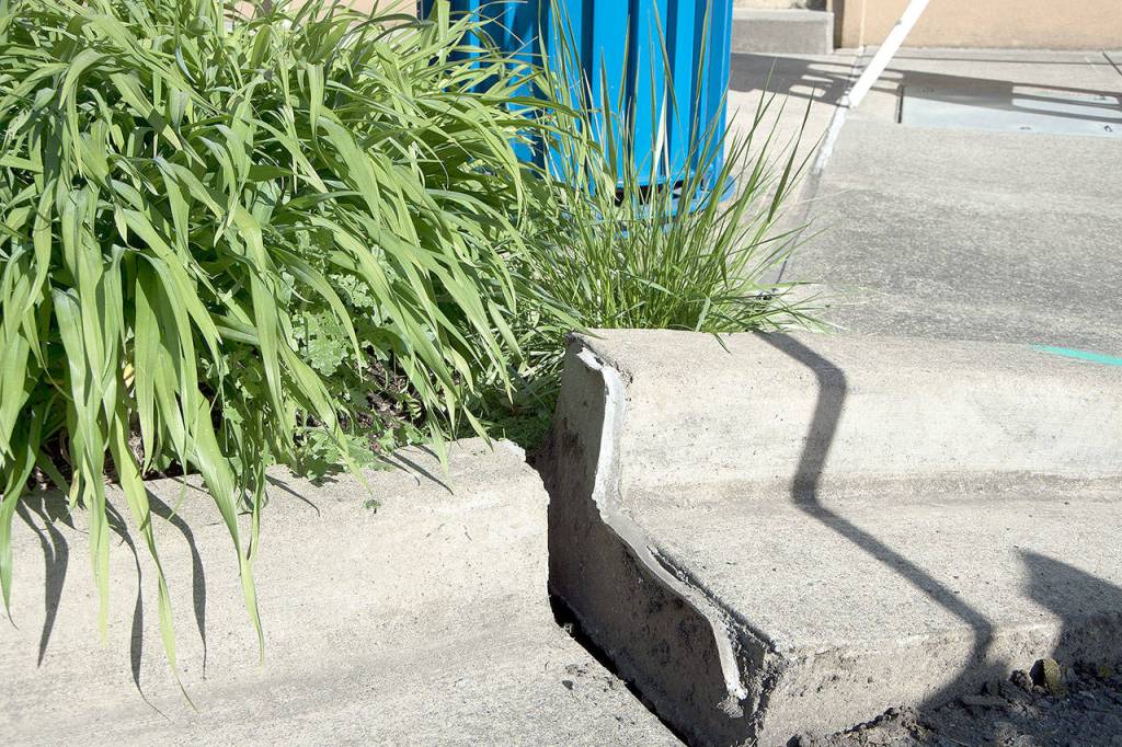 The collapsing ground caused sections of the curb and sidewalk to shift.                                Carol Ladwig/Staff Photo
