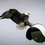 Preserving the moment: Local photographers capture daily wonders of life in the Valley