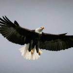 Preserving the moment: Local photographers capture daily wonders of life in the Valley