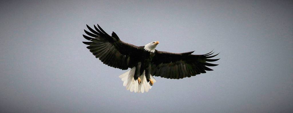 Preserving the moment: Local photographers capture daily wonders of life in the Valley