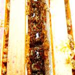 Preserving the moment: Local photographers capture daily wonders of life in the Valley