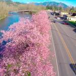 Preserving the moment: Local photographers capture daily wonders of life in the Valley