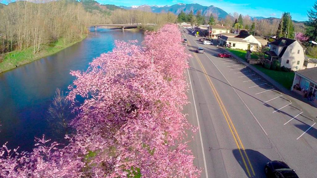 Preserving the moment: Local photographers capture daily wonders of life in the Valley