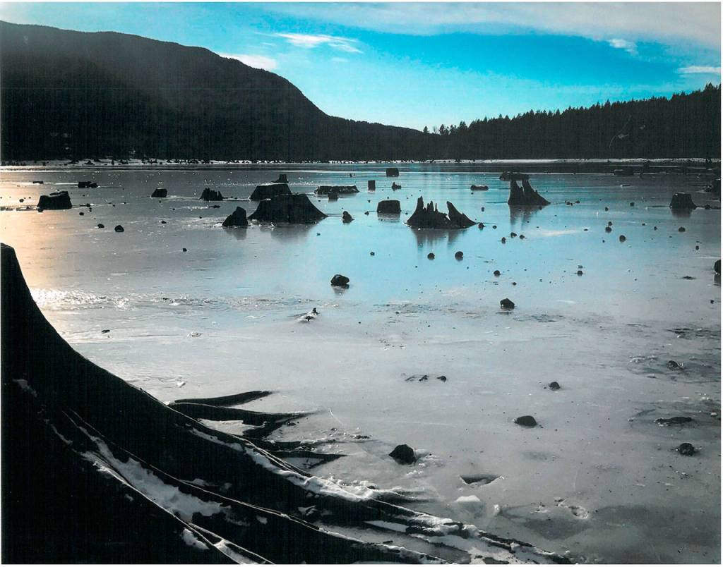 Preserving the moment: Local photographers capture daily wonders of life in the Valley