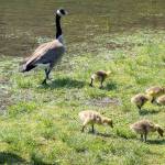 Preserving the moment: Local photographers capture daily wonders of life in the Valley