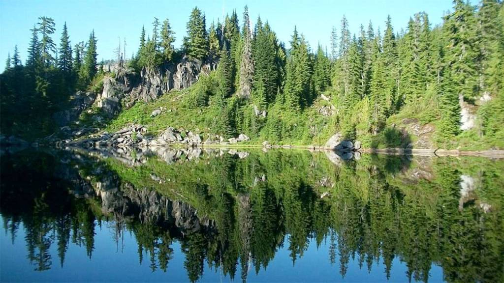 Preserving the moment: Local photographers capture daily wonders of life in the Valley