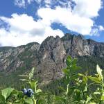 Preserving the moment: Local photographers capture daily wonders of life in the Valley