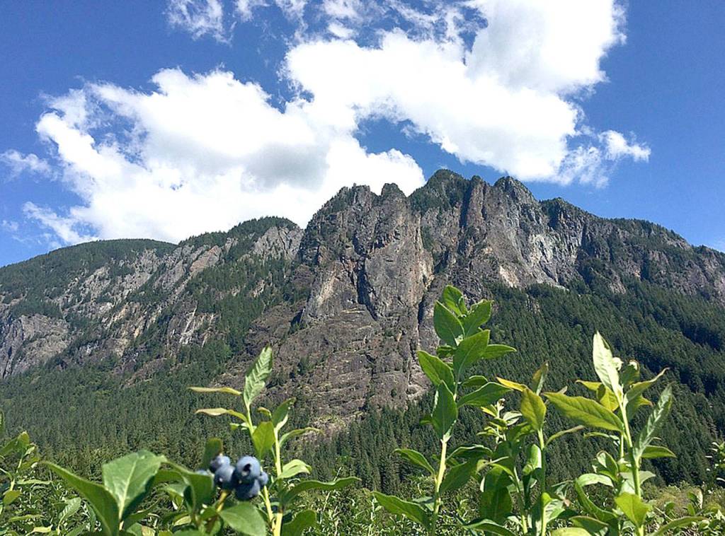 Preserving the moment: Local photographers capture daily wonders of life in the Valley