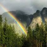 Preserving the moment: Local photographers capture daily wonders of life in the Valley