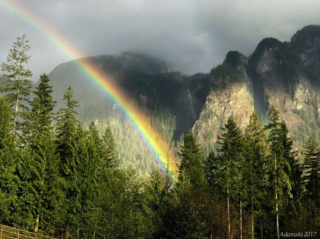 Preserving the moment: Local photographers capture daily wonders of life in the Valley