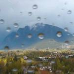 Preserving the moment: Local photographers capture daily wonders of life in the Valley