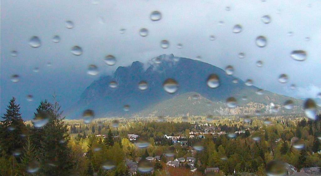 Preserving the moment: Local photographers capture daily wonders of life in the Valley