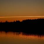 Preserving the moment: Local photographers capture daily wonders of life in the Valley