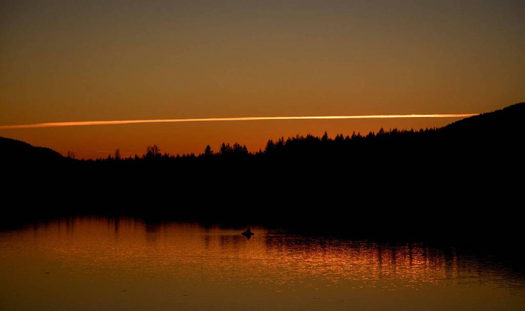 Preserving the moment: Local photographers capture daily wonders of life in the Valley