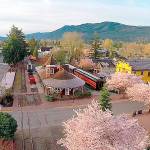 Preserving the moment: Local photographers capture daily wonders of life in the Valley