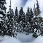 Preserving the moment: Local photographers capture daily wonders of life in the Valley