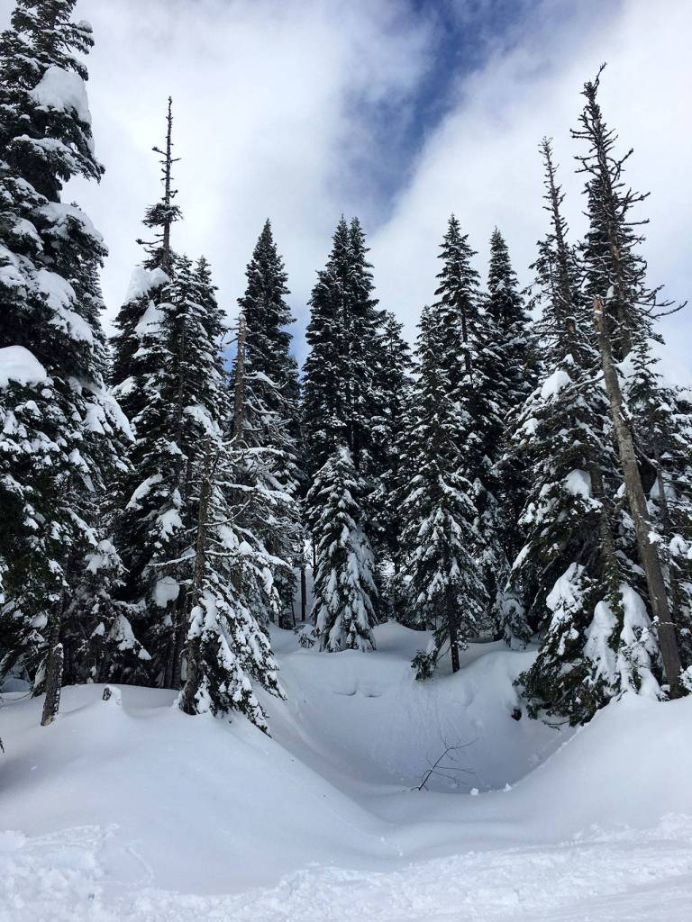 Preserving the moment: Local photographers capture daily wonders of life in the Valley