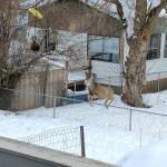 Preserving the moment: Local photographers capture daily wonders of life in the Valley