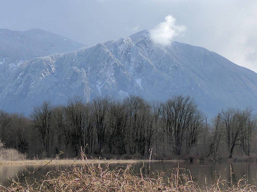 Preserving the moment: Local photographers capture daily wonders of life in the Valley