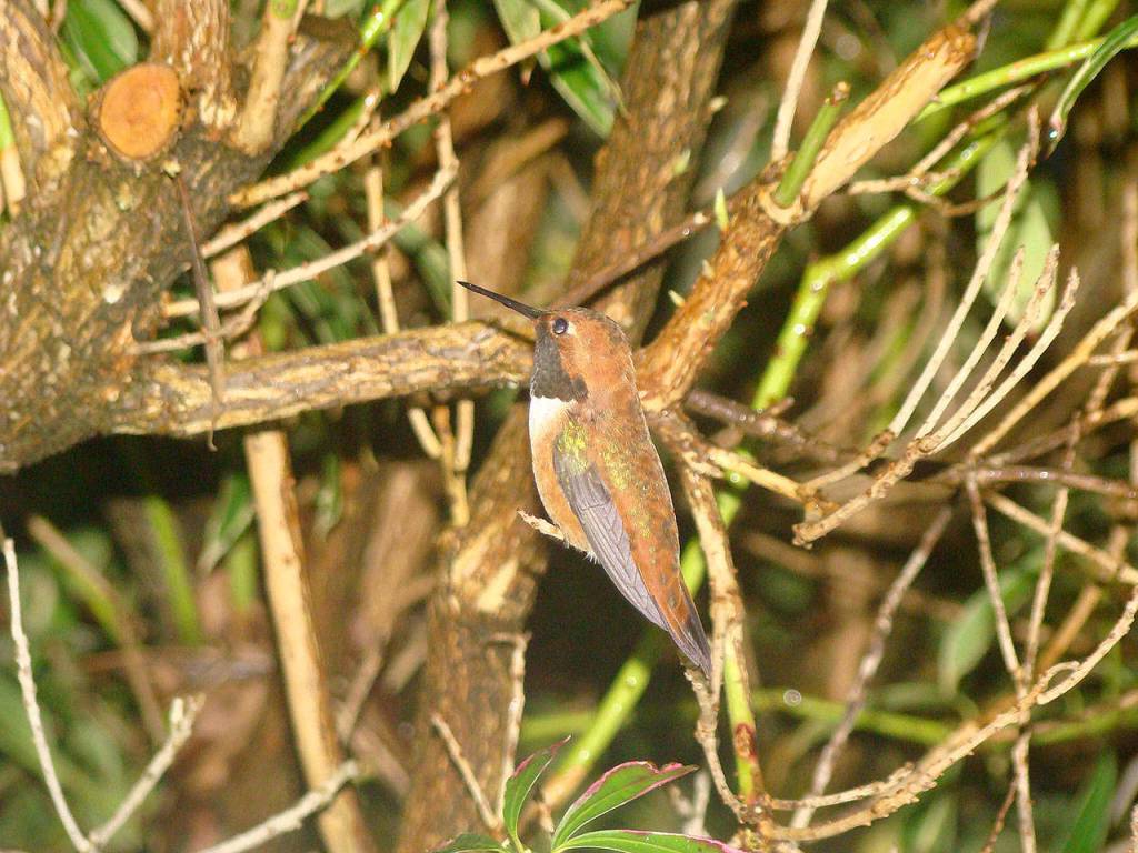 Preserving the moment: Local photographers capture daily wonders of life in the Valley