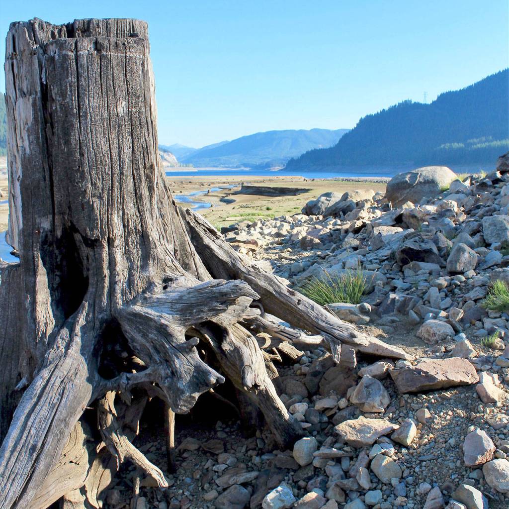 Preserving the moment: Local photographers capture daily wonders of life in the Valley