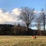 Preserving the moment: Local photographers capture daily wonders of life in the Valley