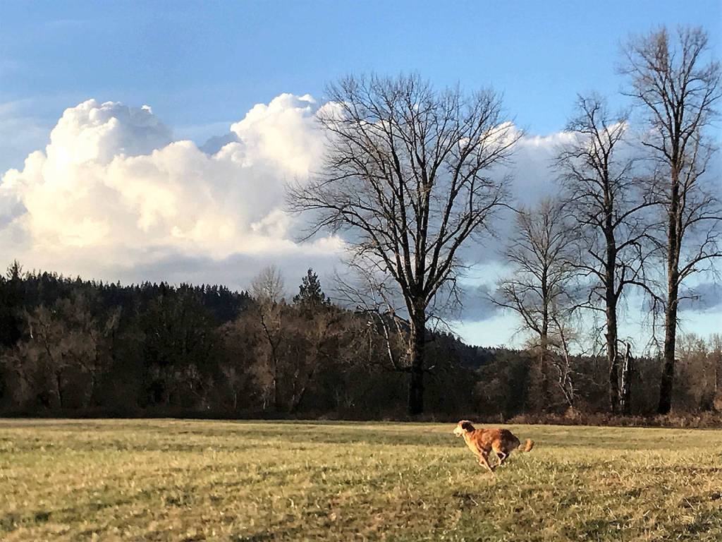 Preserving the moment: Local photographers capture daily wonders of life in the Valley