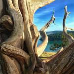 Preserving the moment: Local photographers capture daily wonders of life in the Valley