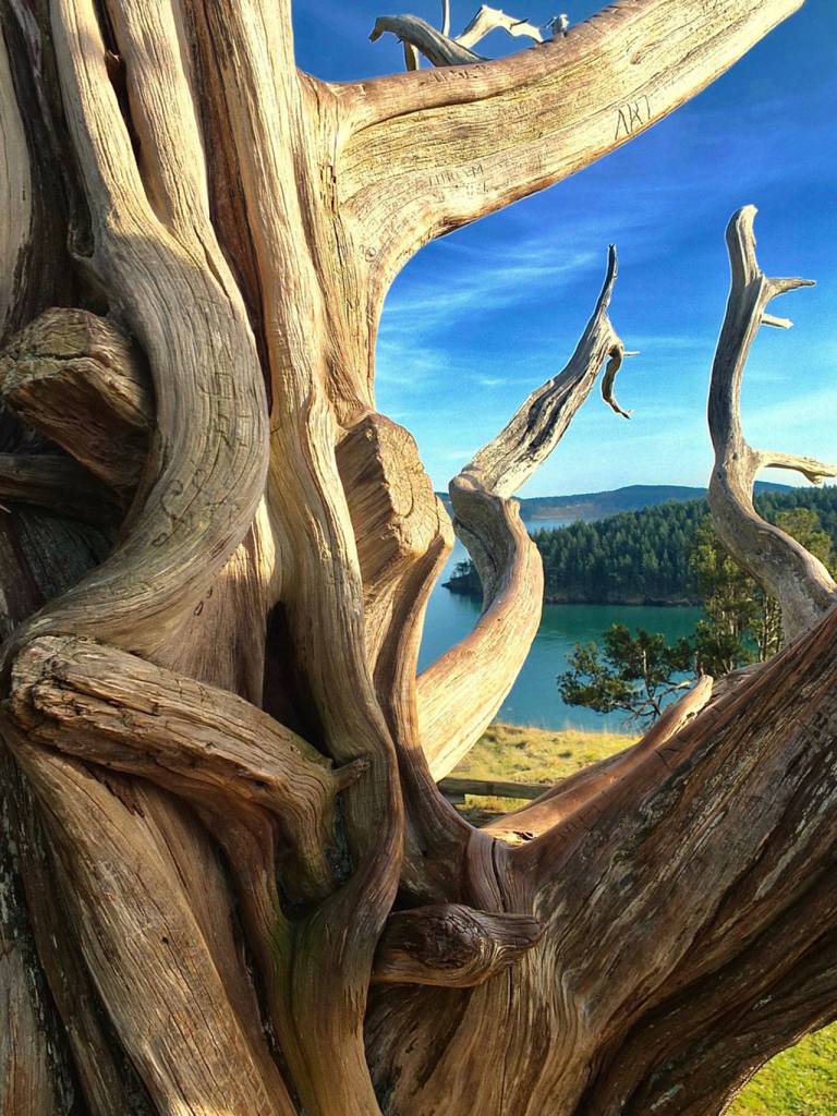 Preserving the moment: Local photographers capture daily wonders of life in the Valley