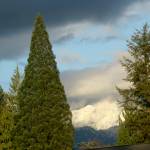 Preserving the moment: Local photographers capture daily wonders of life in the Valley