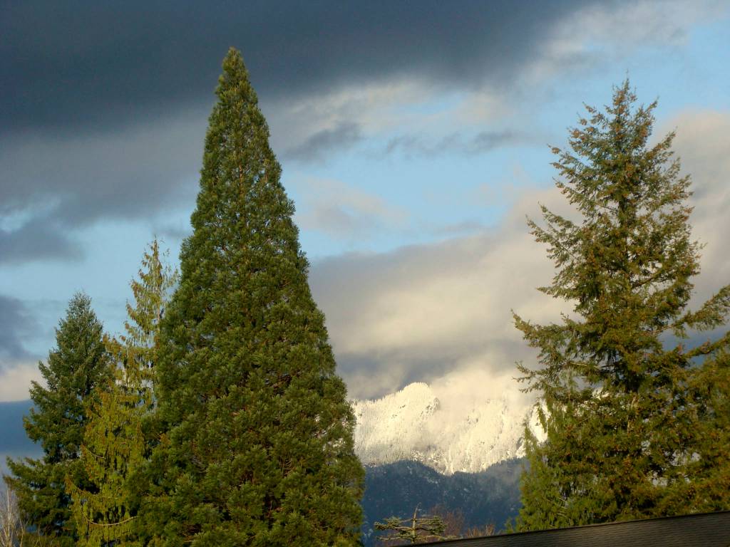 Preserving the moment: Local photographers capture daily wonders of life in the Valley