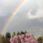 Preserving the moment: Local photographers capture daily wonders of life in the Valley